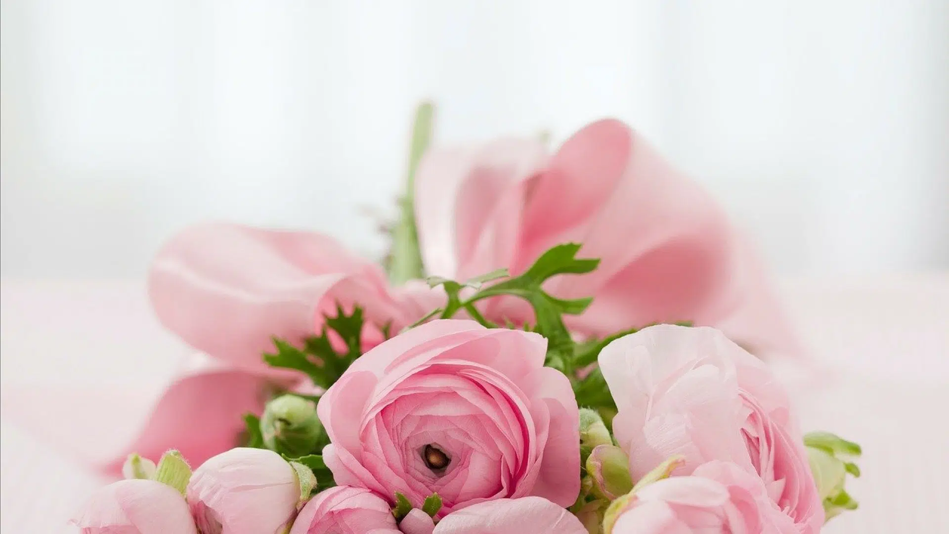 Acheter des fleurs avec Internet, c'est possible !